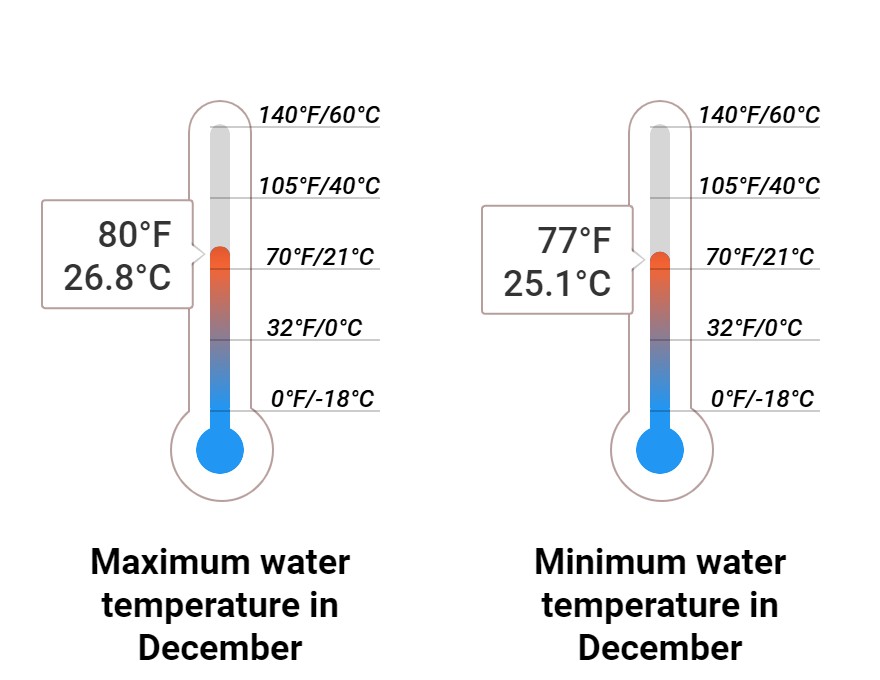 Average Sea temperature